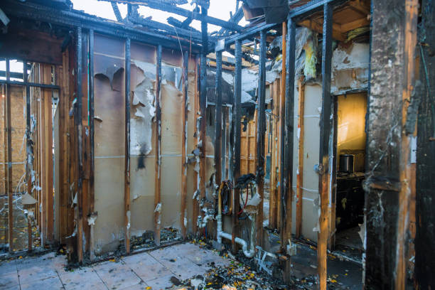 Professional Fire Damage Removal technician working in New California, OH